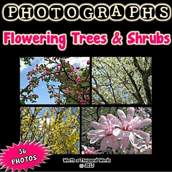 Preview of Photos: Flowering Trees and Shrubs