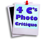 Photography Critique Poster & Handouts