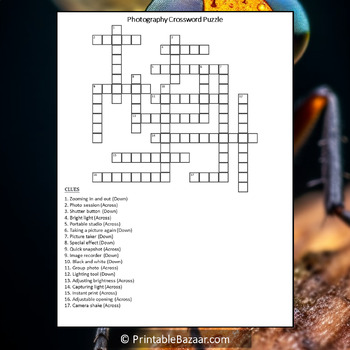 Photography Crossword Puzzle Worksheet Activity by Crossword Corner