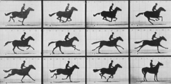Preview of Photography History Part 3: Muybridge and the Zoopraxiscope