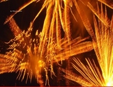 Photos: Firework Themed for Personal and Commercial Use