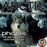 Photos Photographs ARCTIC - animals plants landscapes adap