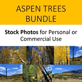 Photos/Photographs Aspen Trees for Personal and Commercial Use