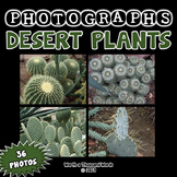 Desert Plants Photos (BUNDLE)