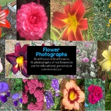 Photos of Real Flowers, Clipart, Clip Art, Art