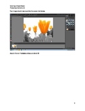 Photoshop Elements Intro Unit Lesson 6: Coloring a Single Object