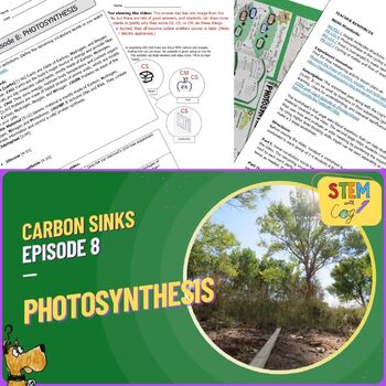 Preview of PHOTOSYNTHESIS: 10-Minute Video and Worksheet Guide