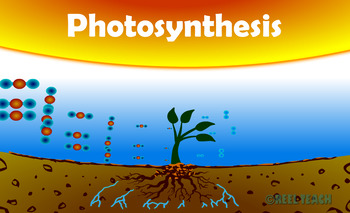 Preview of Photosynthesis