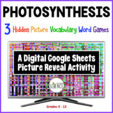 Photosynthesis 3 Google Sheets Hidden Picture Games