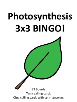 Preview of Photosynthesis 3 by 3 BINGO!