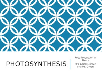 Preview of Photosynthesis