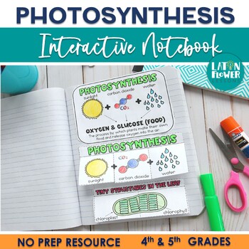 Preview of Photosynthesis Activities | Interactive Notebook| worksheets