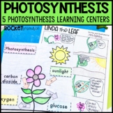 Photosynthesis Activities | Photosynthesis Worksheets