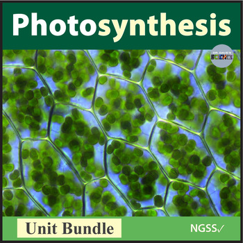 Preview of Photosynthesis Activities, Worksheets and Unit Bundle