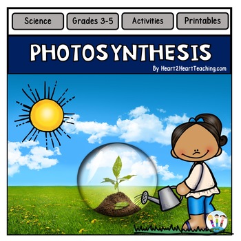 Preview of Photosynthesis Activities Reading Passage & Worksheets Label The Diagram 