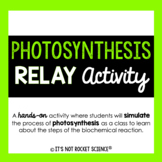 Photosynthesis Activity - Class Relay