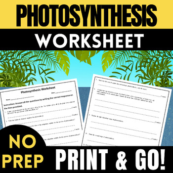 Preview of Photosynthesis Activity| Science Worksheet | Biology Fall Activity