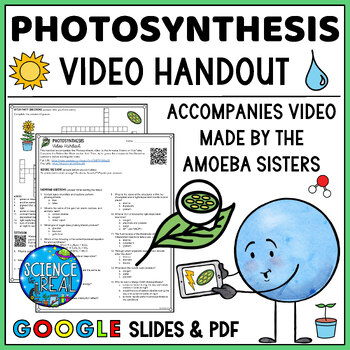 Preview of Photosynthesis Amoeba Sisters Video Handout