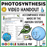 Photosynthesis Amoeba Sisters Video Handout