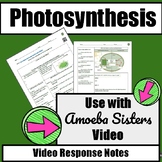 Photosynthesis Amoeba Sisters Video Response Sheet