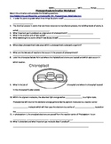 Photosynthesis Animation Worksheet