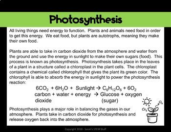 Photosynthesis Scientific Argument with Claim Evidence Reasoning MS-LS1-6