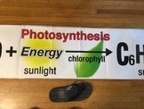 PHOTOSYNTHESIS EQUATION BANNER / .................Print-re
