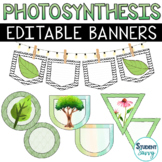 Photosynthesis Banners Printable | Environmental Science P