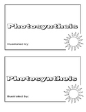 Photosynthesis Book