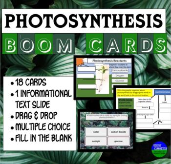 Preview of Photosynthesis Boom Cards!