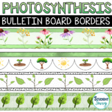Photosynthesis Bulletin Board Borders | Plants Science Borders