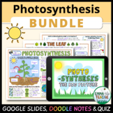 Photosynthesis Bundle - Digital INB, Quiz and Doodle Notes - The Big Picture