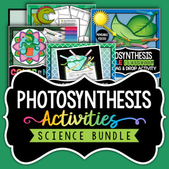Preview of Photosynthesis Activities Bundle - Doodle Notes, Foldable, Project