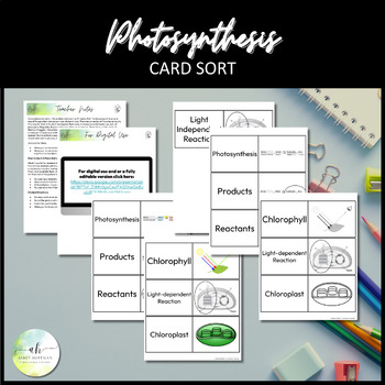Preview of Photosynthesis - Card Sort