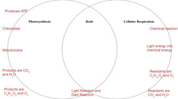 Photosynthesis Cell Respiration Venn Diagram By Edwards Science My