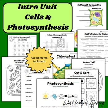 Preview of Photosynthesis & Cells Introduction Unit
