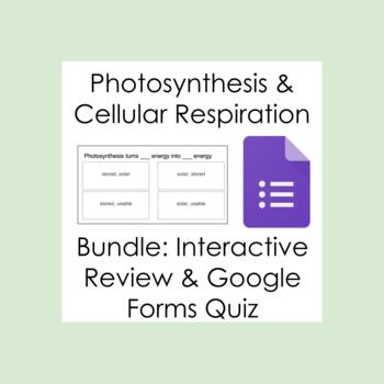 Preview of Photosynthesis & Cellular Respiration Bundle - Review & Quiz