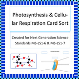 Photosynthesis & Cellular Respiration Card Sort NGSS MS-LS1-6 & MS-LS1-7