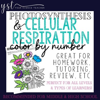 Preview of Photosynthesis & Cellular Respiration Color By Number Activity