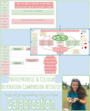 Photosynthesis & Cellular Respiration Comparison Remote/ Online Learning Activit