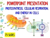 Photosynthesis, Cellular Respiration, Energy - Biology Pow