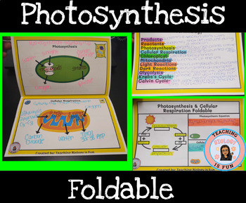 Preview of Photosynthesis Cellular Respiration Interactive Composition Notebook biology