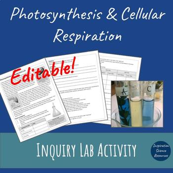 Preview of Photosynthesis & Cellular Respiration Inquiry Lab Editable