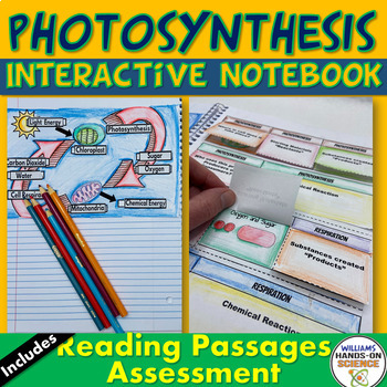 Preview of Photosynthesis Cellular Respiration Interactive Notebook Assessment NGSS