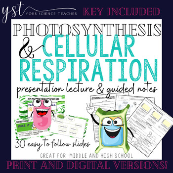 Preview of Photosynthesis & Cellular Respiration Lecture and Guided Notes - Print & Digital