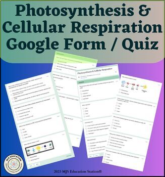 Preview of Photosynthesis & Cellular Respiration Practice google form Quiz Instant feedback