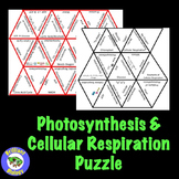 Photosynthesis & Cellular Respiration Puzzle Review