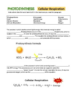 photosynthesis and cellular respiration essay questions