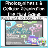 Photosynthesis & Cellular Respiration Self Checking Review Game