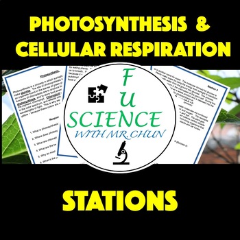 Preview of Photosynthesis & Cellular Respiration Stations
